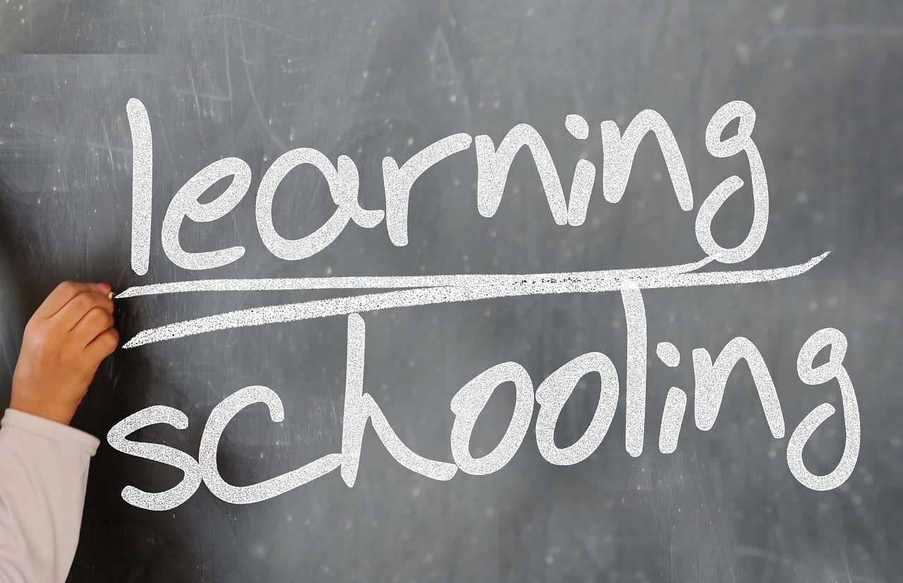 K-12 Districts & Bus Fleets
